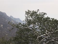 -少华山国家森林公园