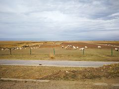 -青海湖国家重点风景名胜区