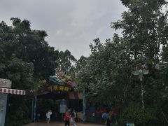 -美的鹭湖探索王国