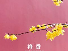 -钱王祠