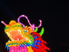 -台儿庄古城