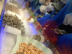 -比尔森韩式烤肉自助(绿园店)