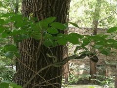 -碓臼峪自然风景区