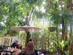 -Fern Forest Cafe