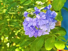 -秀水家园农家院住宿团建(石林峡店)