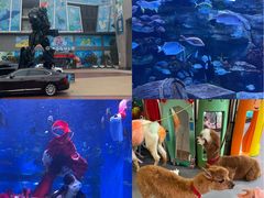 -顺德南宏海立方海洋公园