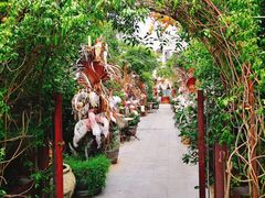 -The Grounds of Alexandria