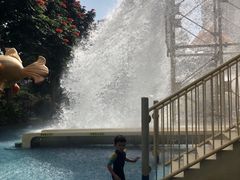 -亚马逊丛林水乐园