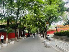 -北京国子监胡同
