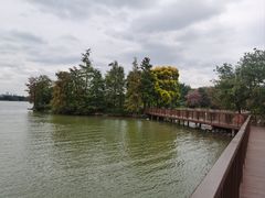 -海珠湖公园