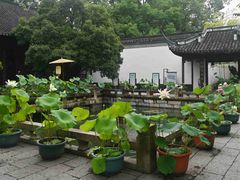 -上海醉白池公园