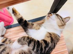 -玉椰林甜品店(创始店)