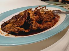 葱烧黄河鱼-九十九顶毡房(阜石路店)