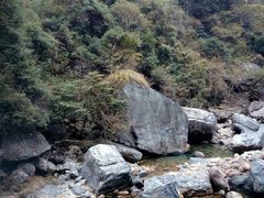 -石台牯牛降景区