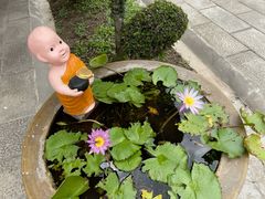 -西双版纳傣族园