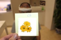 -大麦微针植发丨全国连锁