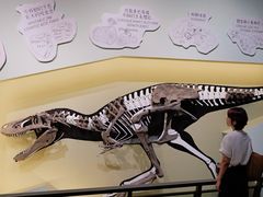 -香港科学馆