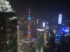 -上海柏悦酒店
