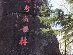 -汤旺河林海奇石景区
