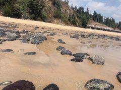 -漳州滨海火山岛自然生态风景区