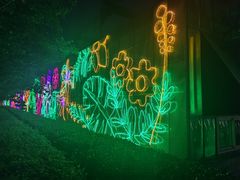 -南宫五洲植物乐园