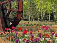 -长春公园(普阳街道)