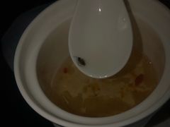 -匠心SPA·养生馆(上海南站店)