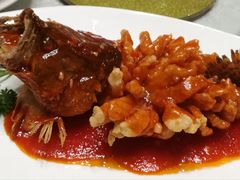 松鼠桂鱼-新聚丰菜馆(太监弄店)