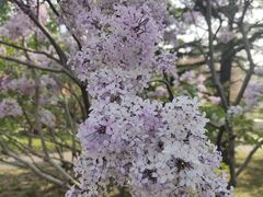 -香山公园-东宫门售票处