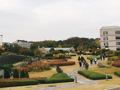 -梨大女人街