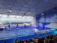 -秦皇岛乐岛海洋王国