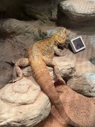 -酷嗒动物文化乐园(cutezoo西溪乐天城店)