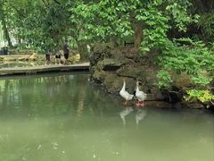 -兰亭风景区