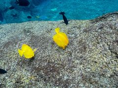 -新加坡水上探险乐园