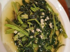 -杨氏青龙虾·羊蝎子(珠江路店)