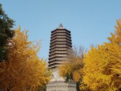-玲珑塔公园