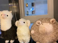 餐具摆设-九府羊·鲜羊火锅·烤串(新华路店)