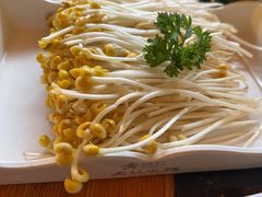 -老版火锅.12年西安排队王(沣峪口店)