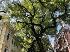 -星巴克臻选(广州沙面店)