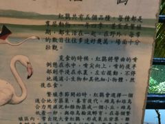 -九龙公园