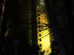 -上海神旺大酒店