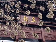 -乌镇景区