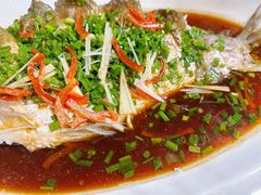 -芦茨金富饭庄·25年老字号·专做稻草鸡
