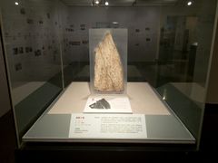 -北京大学赛克勒考古与艺术博物馆