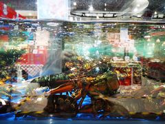 -盒马鲜生(顺义店)