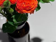 -阿妮叶李(光谷世界城店)