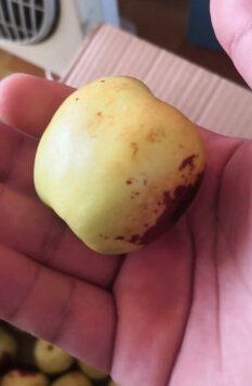 -乐乐鲜果水果超市(河北店)