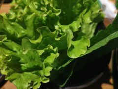 -齐函杨佳清真烤肉(鑫海店)