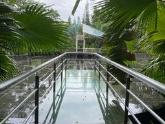 -深圳国际园林花卉博览园