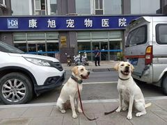 -康旭宠物医院(郑州总院)